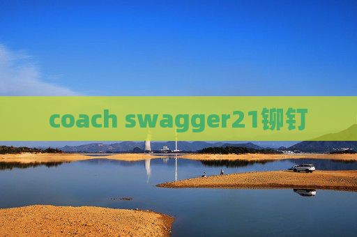 coach swagger21铆钉